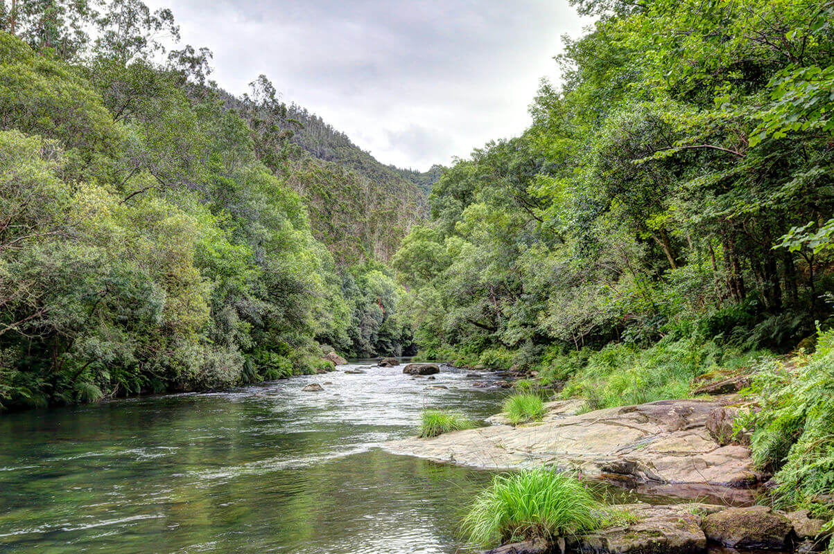 Les paysages verdoyants du parc naturel du Fragas de Eume