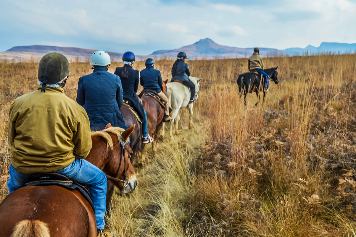 Balade à cheval à travers savane et montagne du Drakensberg, en Afrique du Sud
