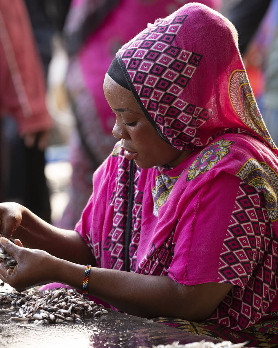 Femme tanzanienne habillée d'un kanga fuchsia, et nettoyant les poissons sur le marché de Malindi à Zanzibar.