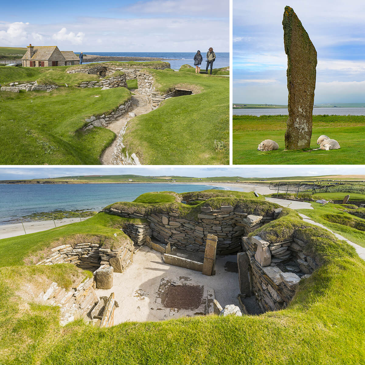 Composition de trois photos sur le site de Stenness. Des moutons dorment sous une pierre levée. 