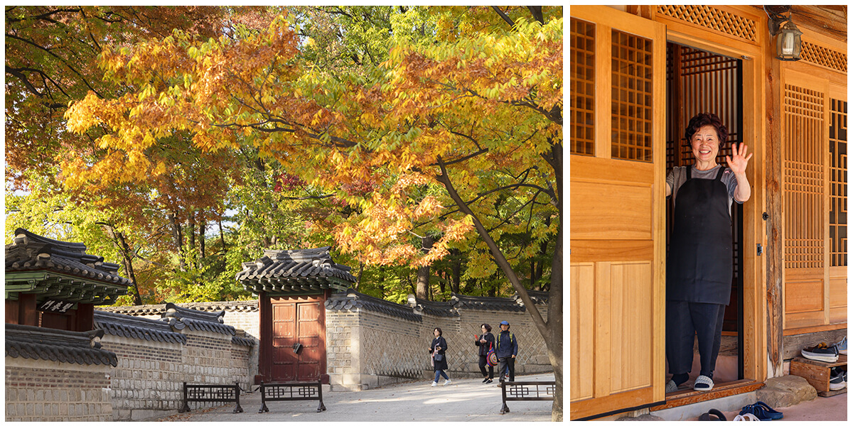 Composition de deux photos sur les couleurs automnales en Corée du Sud, au palais Changdeokgung à Séoul.
