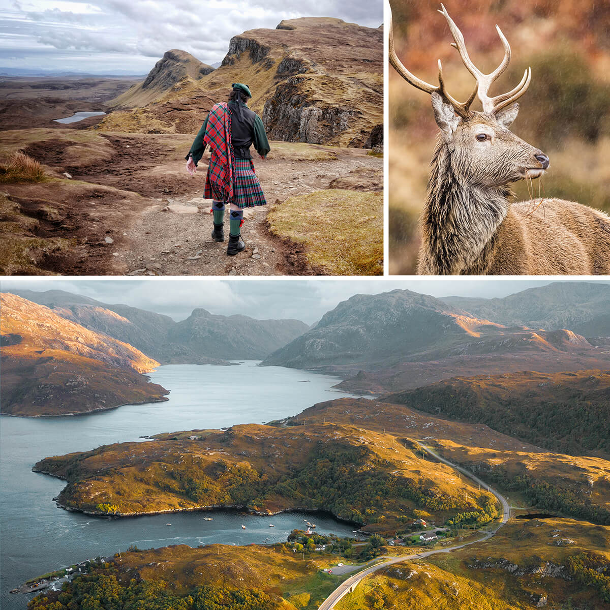 Composition de trois photos sur l'automne en Écosse. Les reliefs rougissent et les cerfs se font entendre.