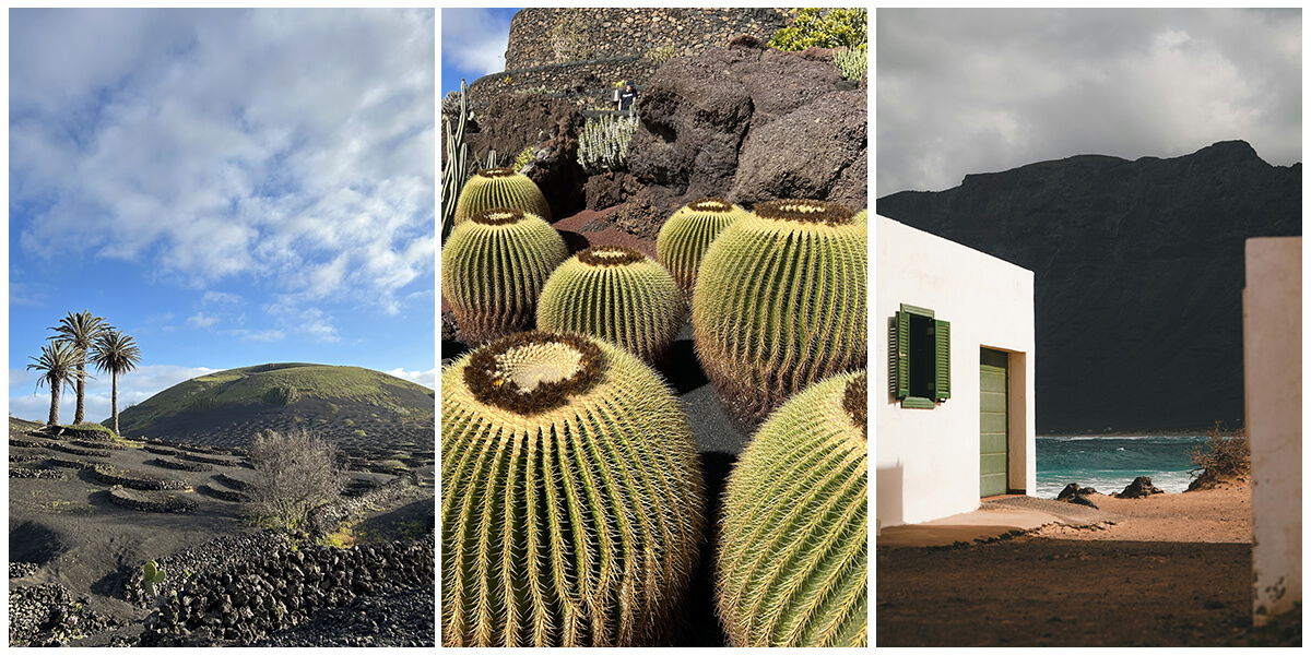 Composition de trois photos sur Lanzarote. À gauche, des paysages volcaniques. Au centre, une photo de cactus globulaires. À droite, une maison blanche typique de l'île au milieu du paysage noir basalte.
