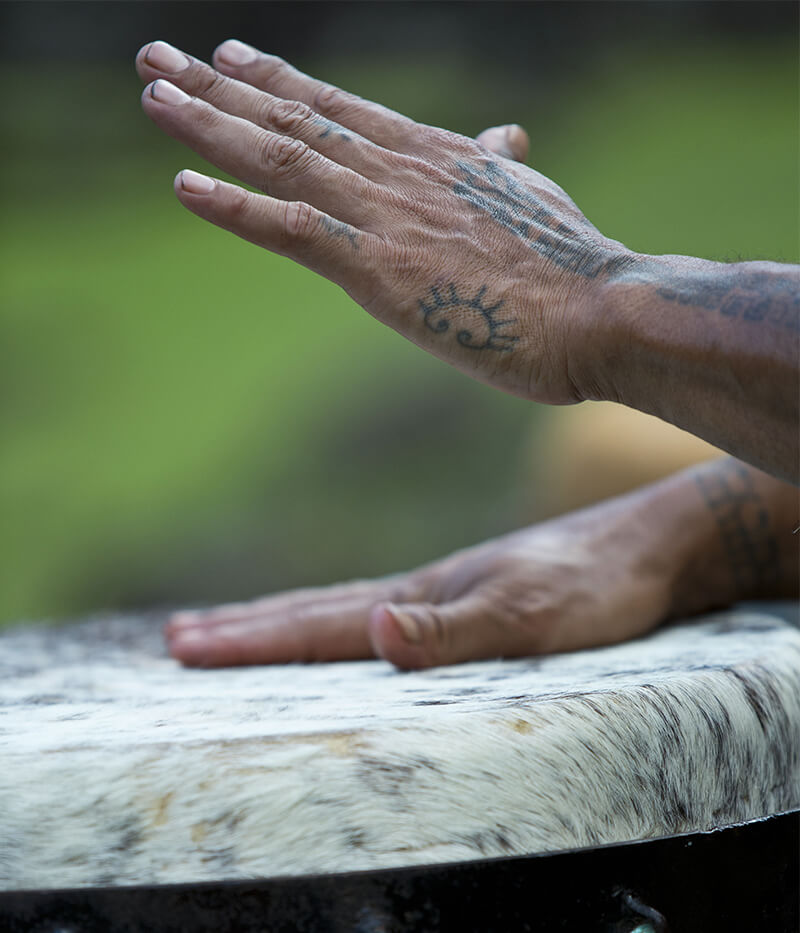 La photo montre les mains d'un musicien jouant du tariparau, recouvert d'une peau animale.