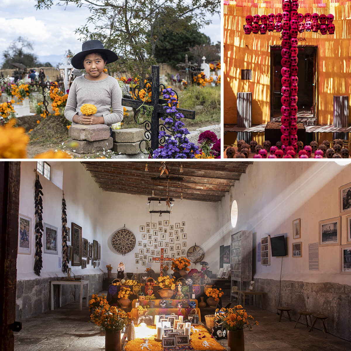 Composition de trois photos autour du thème de la fête des Morts au Mexique. En haut à gauche, un jeune garçon se tient dans le cimetière de San Isidro à Puebla, une rose d'Inde à la main. En haut à droite, croix du Christ ornée de faux crânes pourpre à Oaxaca. En bas, autel décoré de fleurs et de portraits des défunts dans l'hacienda Santa Barbara de Huamantla.