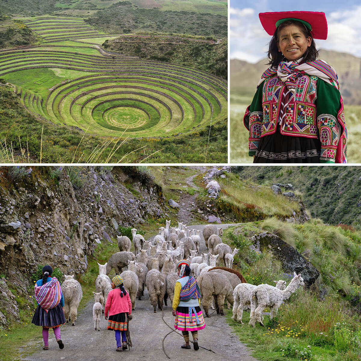 Composition de trois images sur le site archéologique de Moray et la vie rurale au Pérou. Sur l'image en bas, des petites filles suivent un troupeau de lama sur un sentier de montagne.